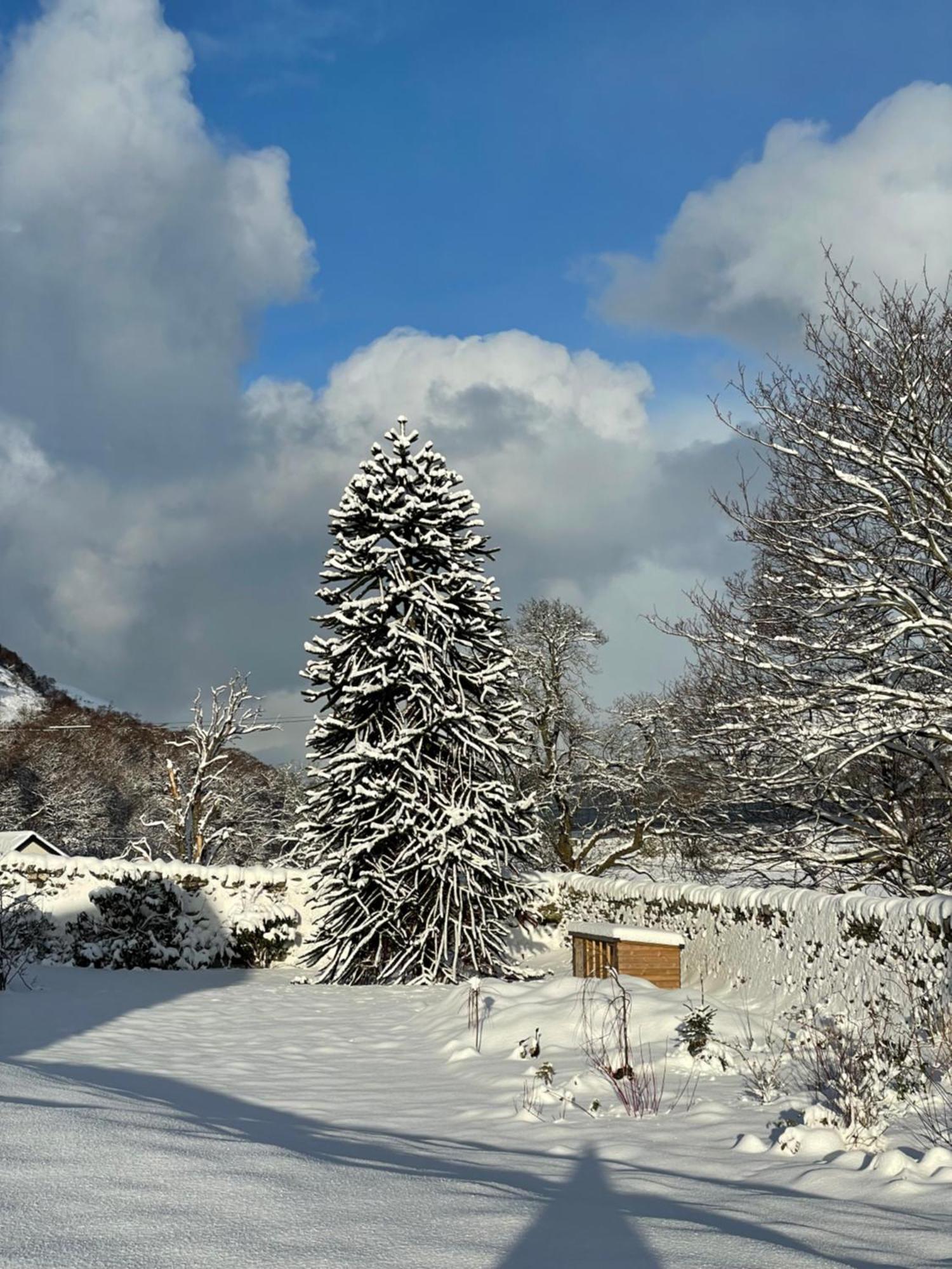 Clachan Garden B&B Garve Exterior foto